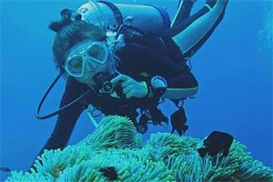 Українці працюють на райських островах