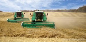 Українські аграрії шукають роботу за кордоном