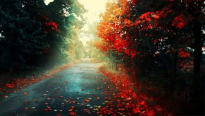 Виїхати, щоб залишитися