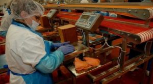 Біженці, які сплачують податки. Українські мігранти в Польщі очима влади та бізнесу