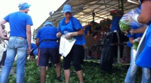 Роботу за кордоном шукають українці від 18 до 29 років