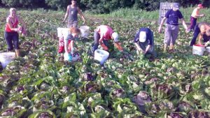 Влаштуватися на сезонну роботу в Польщі стане легше з наступного літа