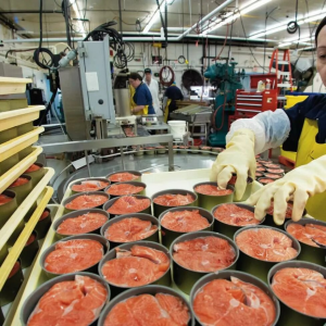 Пенсійні зміни: як діятиме новий алгоритм