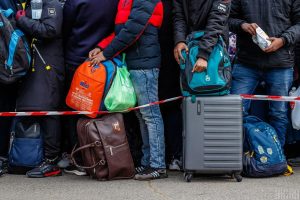У низці галузей більшає мігрантів: скільки заїхало та де працюють іноземці